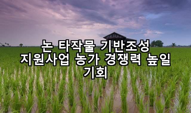 논 타작물 기반조성 지원사업 농가 경쟁력 높일 기회