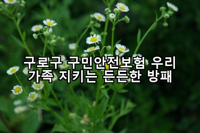 구로구 구민안전보험 우리 가족 지키는 든든한 방패